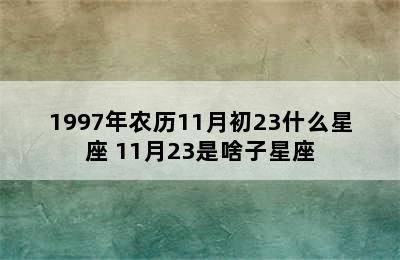 1997年农历11月初23什么星座 11月23是啥子星座